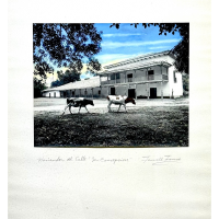 Lote 47 - FERNELL FRANCO (1942-2006)