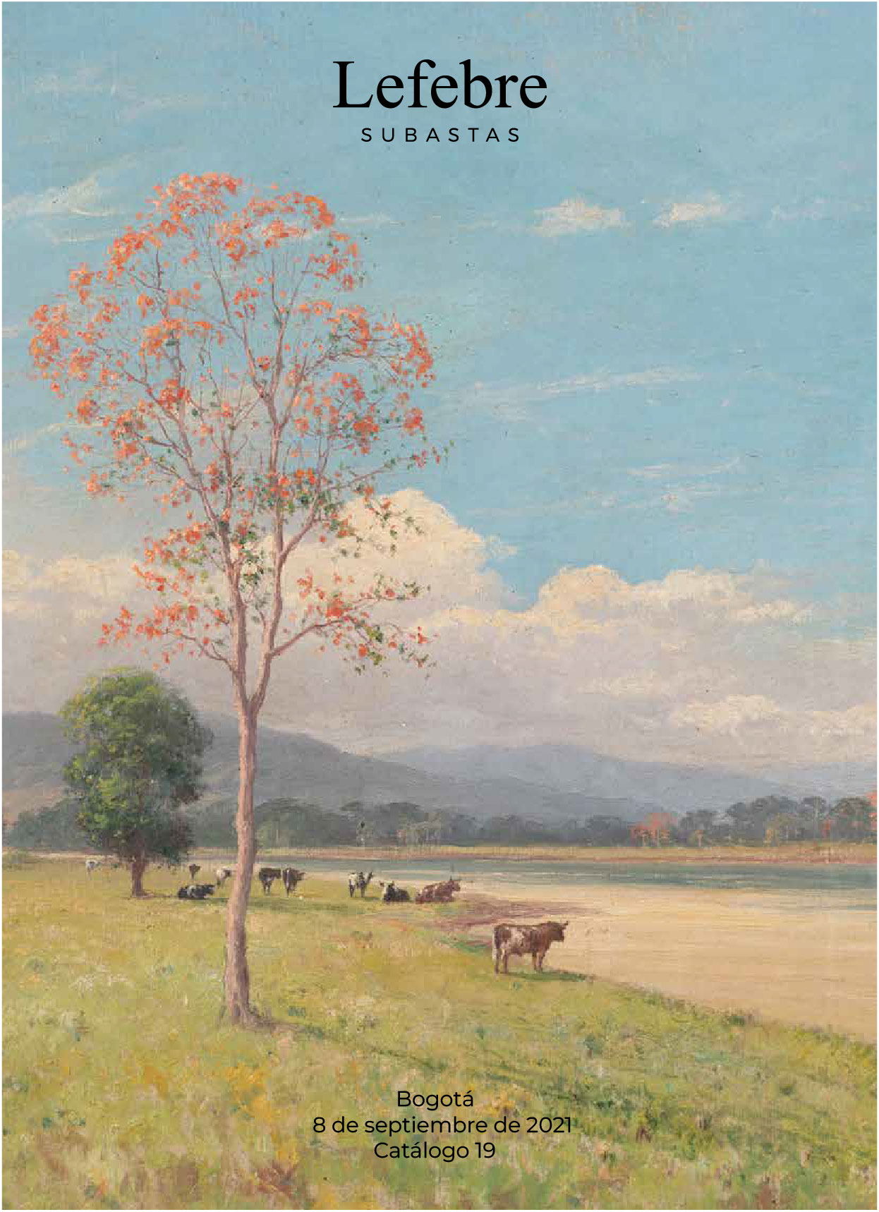 catalogo-19