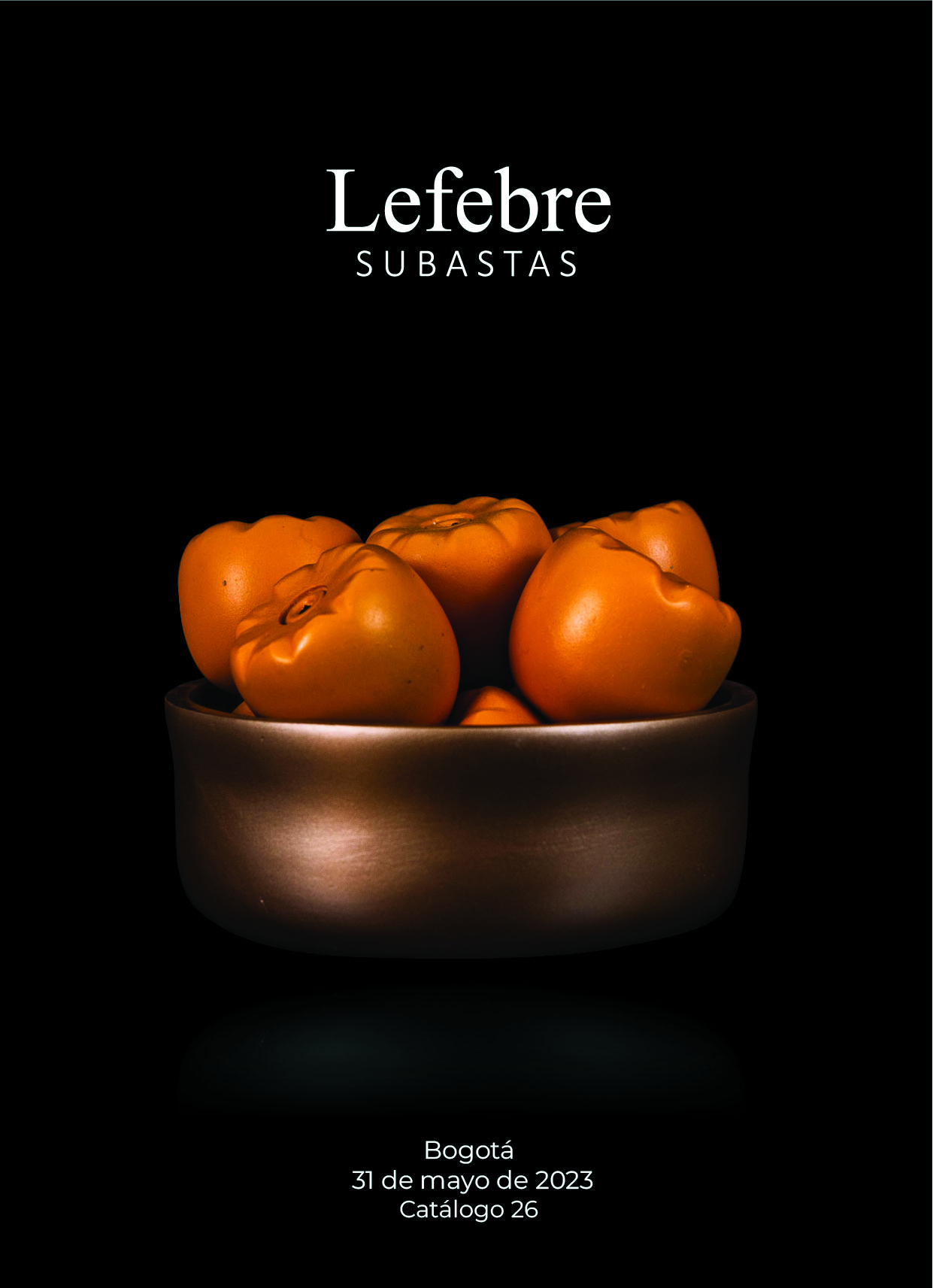 catalogo-26